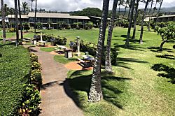 Napili Shores I-272