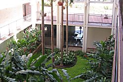 Maui / Kihei Oceanfront Condo 