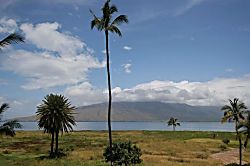 Maui / Kihei Oceanfront Condo 