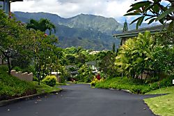 Villas of Kamalii 57