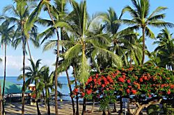 Kahaluu Beach Villas 32