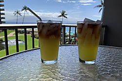 The Whaler Unit #313