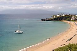 The Whaler Unit #313