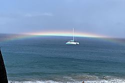 The Whaler Unit #313