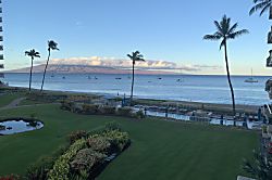 The Whaler Unit #313