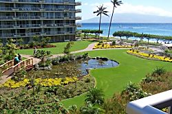 The Whaler Unit #313