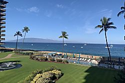 The Whaler Unit #313