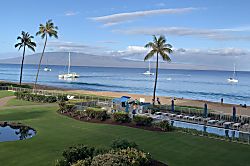 The Whaler Unit #313