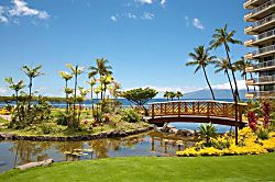 The Whaler Ground Floor