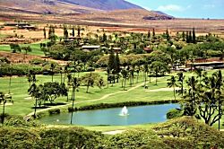 The Whaler Ground Floor