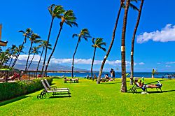 Sugar Beach Resort 1 Bedroom Condo