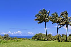 North Shore Ocean View Cottage