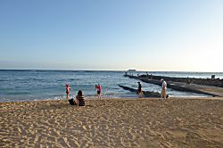 Waikiki Shore