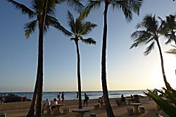 Waikiki Shore