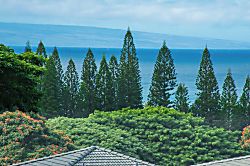 Kapalua Golf Villa 20T5