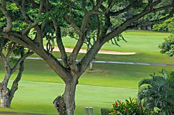 Kapalua Golf Villa 20T5