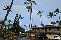 Honokowai Palms C6