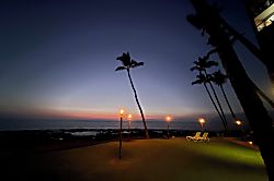 Mana Kai Maui #502 - Property grounds