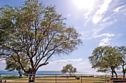 Maui Kamaole I-103