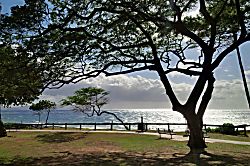 Maui Kamaole I-103
