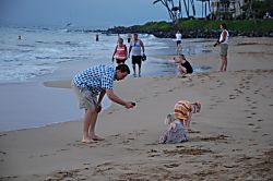 Kihei Kai Nani, 166, Build 10