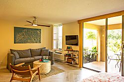 Wailea Ekahi Ocean Studio #8C