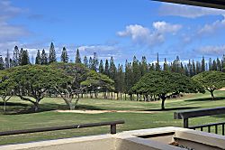 Kapalua Golf Villa 15T1