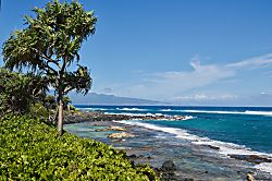 Maui Modern Luxury Beach Condo