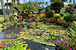 Pono Kai Resort 2 Bedroom