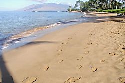 Grand Champions Treetop 1BR