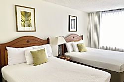 Waikiki Banyan 2602