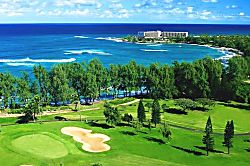 North Shore Surfer's Paradise