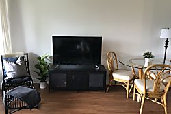 North Shore Surfer's Paradise