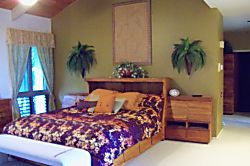 Kekaha Luxury Beachfront Estate