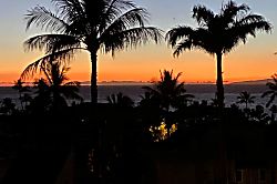 The Palms at Wailea 1202