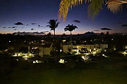 The Palms at Wailea 1202