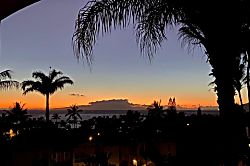 The Palms at Wailea 1202