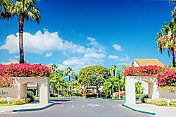 The Palms at Wailea 1202