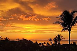 The Palms at Wailea 1202