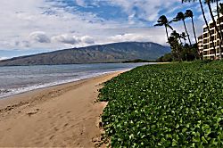 Sugar Beach Resort 1 Bedroom Rental