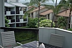 Kona town condo