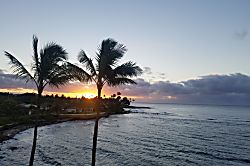 Kuhio Shores #402