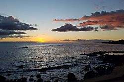 Kuhio Shores #402