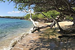 Vista Waikoloa A201