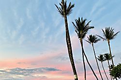 Royal Mauian Oceanfront Condo