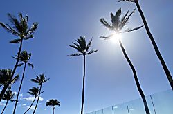 Royal Mauian Oceanfront Condo