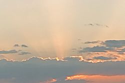 Royal Mauian Oceanfront Condo