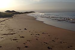 Kanai A Nalu 118 Beachfront Condo