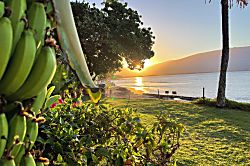 Kanai A Nalu 118 Beachfront Condo