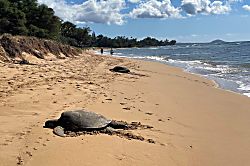 Hale Kai O Kihei 317